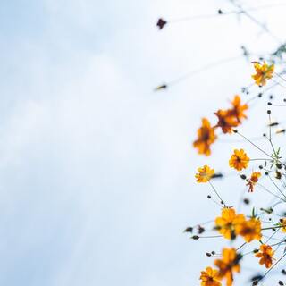 “周りの評価”ってそんなに大事？あなたがもっと輝く生き方・働き方のヒント