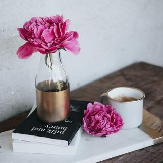 映像とは少し異なるストーリーを愉しんで。あの名作を本で読もう