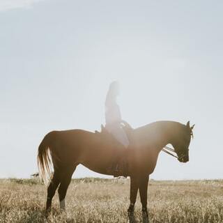 あの著名人に隠された感動の物語。実話を基にした映画7選