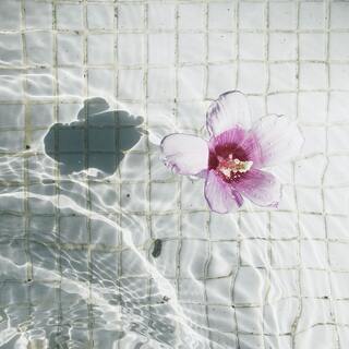 心が疲れやすいあなたへ。苦手なことを知り、心地よさを大切にするヒント