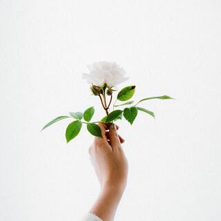 頭がスッキリ＆心が整う！変わりたいあなたの「箇条書き」テクニック