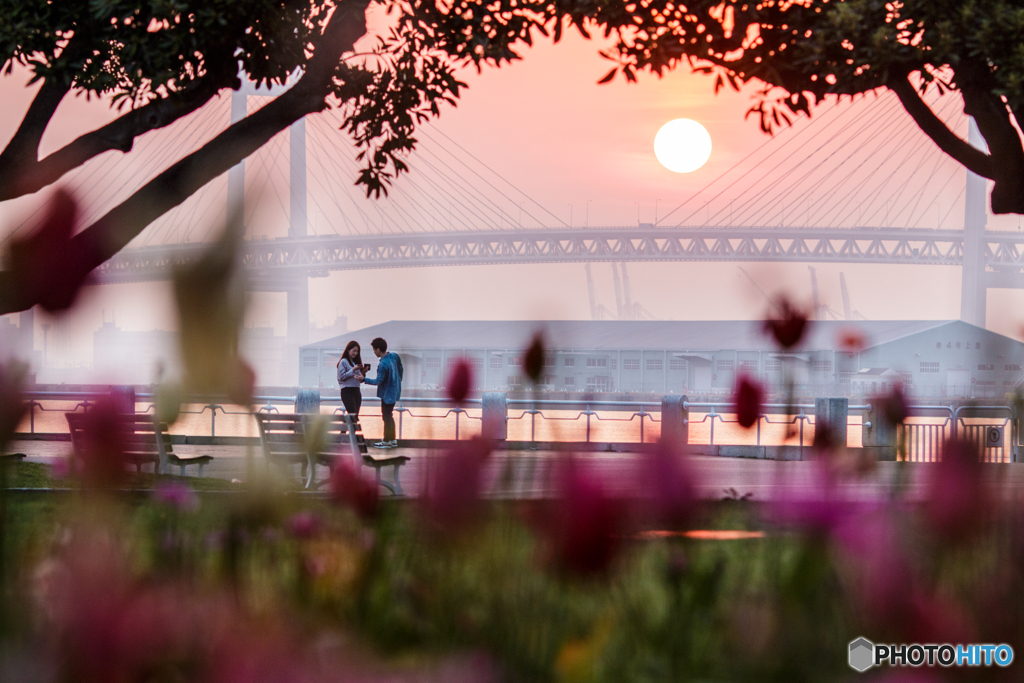 開放感抜群の 横浜ベイエリア 早起きして海辺をお散歩しませんか キナリノ 開放感抜群の 横浜ベイエリア 早起きして海辺をお散歩しませんか キナリノ