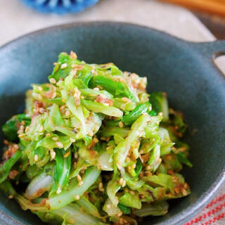 キャベツだけでOK！即作れてやみつきになる簡単おいしい人気レシピ集