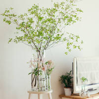 グリーンの飾り方 の厳選記事一覧 キナリノ