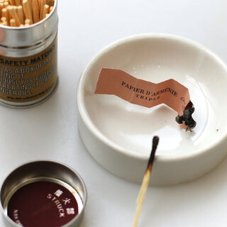 セージや風水、観葉植物…。お部屋の空気を「浄化」する20のヒント