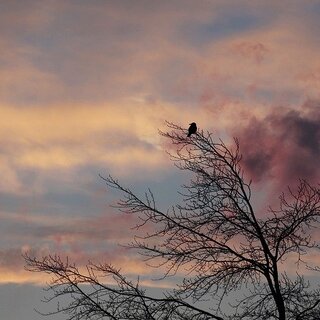 心に寄り添う5人の声。ウィスパーボイスの女性アーティスト特集