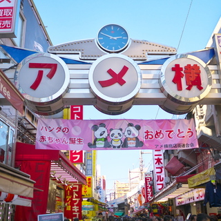 ふしぎな魅力いっぱいの「上野」へ。のんびり”おとな散歩”に出かけよう！