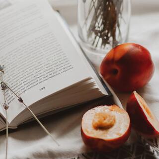 心地よい秋の夜長に楽しみたい。食欲そそる「料理」がテーマの小説特集