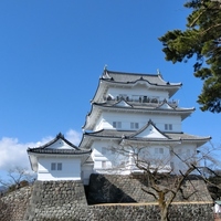 小田原 歴史と文化に触れる旅 おすすめ観光スポット グルメ案内 キナリノ