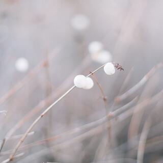 感じ取りやすく、疲れやすいあなたへ。心地よく、やさしい時間のすごし方