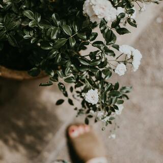 つぶやくだけでラクになる。嫌な思いをした時こそ役に立つ「言葉の力」とは？