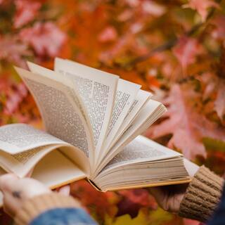 もっとやさしい気持ちでいたいのに。心を穏やかにしてくれる20冊