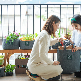 生ごみから野菜を作れるよ。ベランダで始める「コンポスト生活」のすすめ