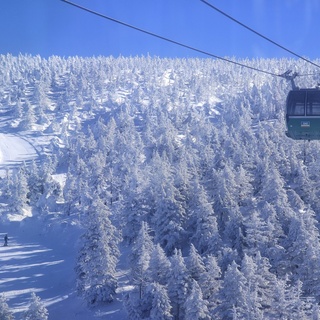 冬ならではの絶景を見に行きませんか？全国の「冬絶景」8選