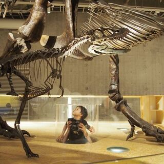 大人も子供も心満たされる！｢上野公園にある博物館」へ遊びに行こう