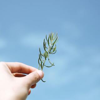 心豊かに、幸せな生き方ができる！「足りているマインド」を育てる方法