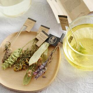 自然の恵みで心と体を和らげて。「ハーブティー」で内側からのセルフケア