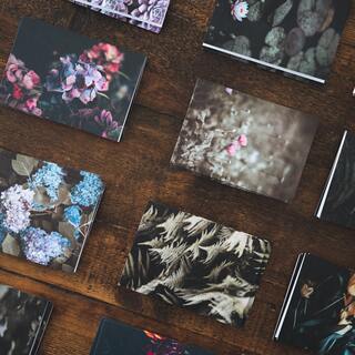 過去のプリント写真との向き合い⽅～思い出を整理して⾝軽に楽しく～