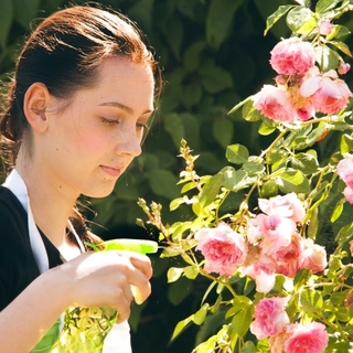 自分を深める契機に。《30代後半からの習い事》おすすめガイド