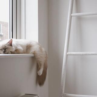 大丈夫、きっとうまくいく！頑張るあなたの「心を解きほぐすヒント」