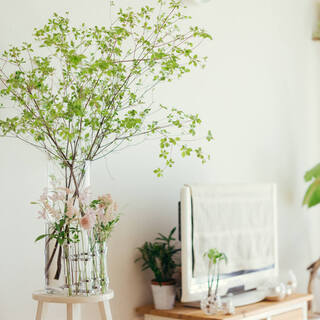 ナチュラルな北欧インテリアを目指して。素敵な「グリーン」の取り入れ方