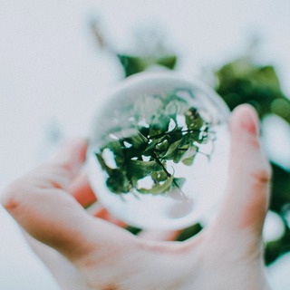 イライラが清々しい気分へ変わっていく。心を穏やかにするシンプル禅思考