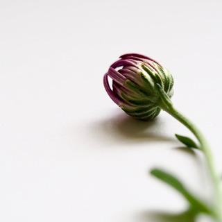 手放して、余白をつくる。心軽やかでゆとりのある「シンプルな暮らし」