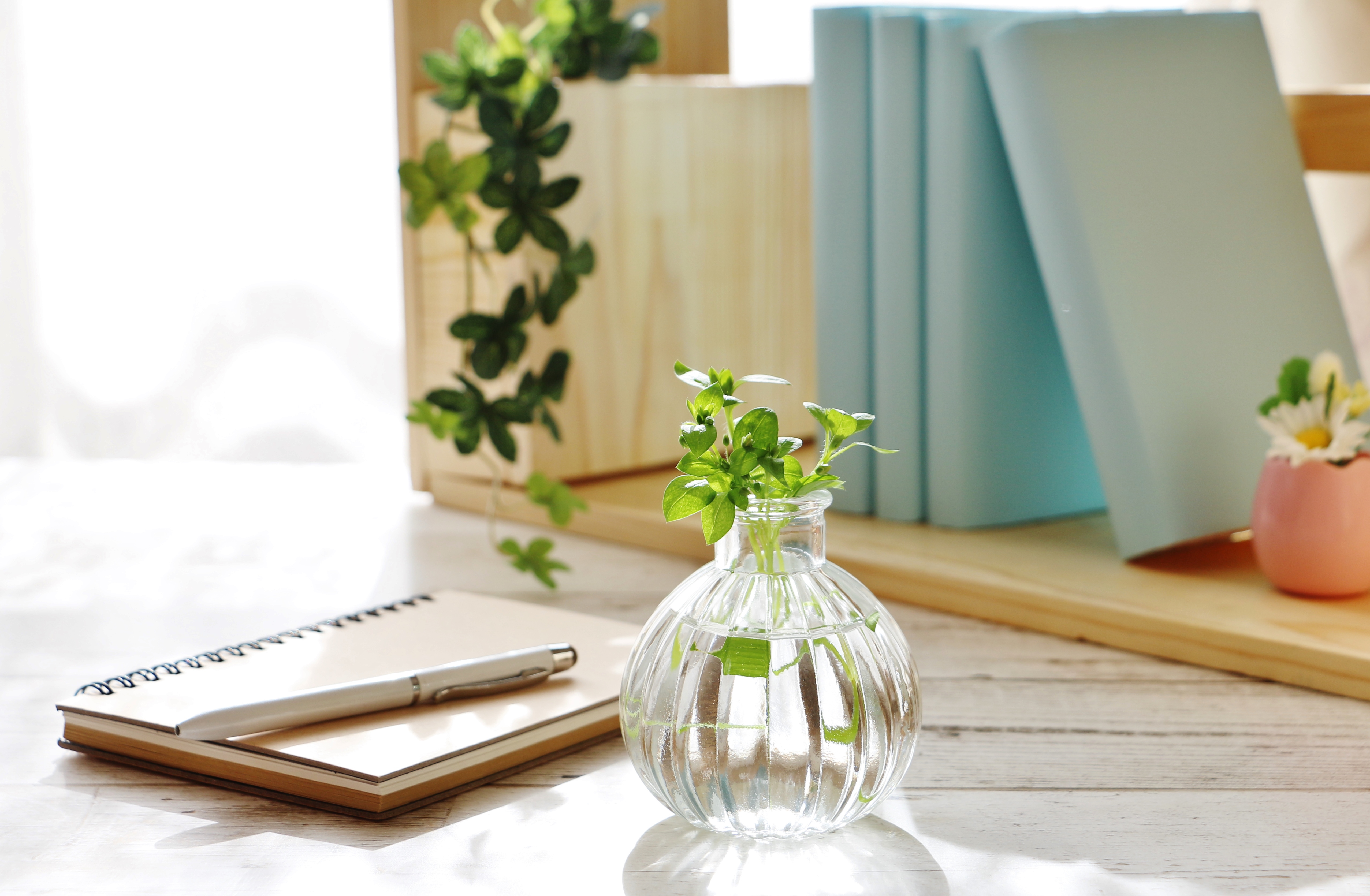 朝の使い方次第で 今日に余裕が訪れる わたしの調子が整う 朝時間の過ごし方 キナリノ