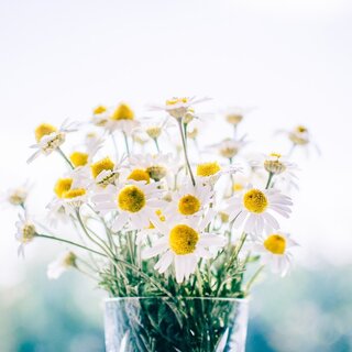 心を近づける時間を。北欧の暮らしをヒントにした家族との関わり方