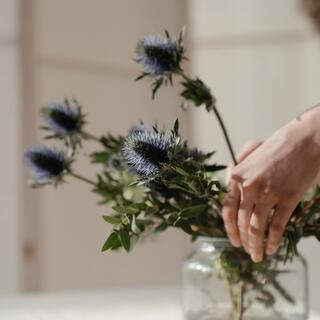 私を変えるのは、私だけ！「アロマ」を使った癒しの自分磨き