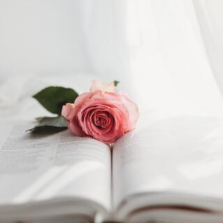 「自分を持つ」ってどういうこと？軸を決める考え方と行動