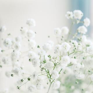 閉塞感のある時代だからこそ。「じんわりとした幸せ」を感じるヒント