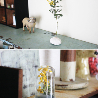 ナチュラルインテリアとして楽しむ♪「花＆植物」のDIYアイデア集