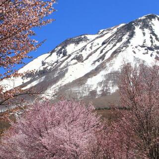 うららかな春の日に行きたい【東北】の絶景＊おすすめドライブコース9選