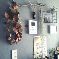 賃貸でも実践できる方法も お部屋の ペイント 漆喰 壁紙 Diyにチャレンジ キナリノ