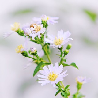 なんでもない日常に特別感を。心がよろこぶ「小さなごほうび」10TIPS