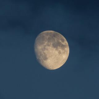 そんな日もあるよね。眠れない夜は「月光浴」のひとときを楽しんでみて