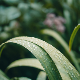 残念なお天気も好きになるかも。雨を楽しむ過ごし方