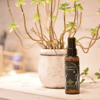 除菌・消臭にも大活躍！夏の必需品「天然素材の虫除け」特集