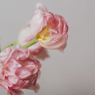 いつもの挨拶に「＋ひとこと」。互いに嬉しい言葉の気遣い