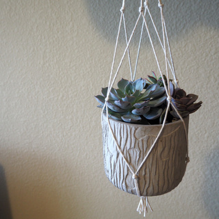 たった10分で完成!? 紐だけでできる簡単プラントホルダー