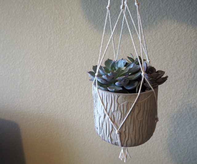 たった10分で完成 紐だけでできる簡単プラントホルダー キナリノ