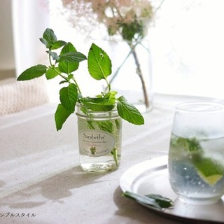 涼やかな夏のインテリアに♪ハーブを暮らしに取り入れよう