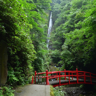 【日本の滝百選】川と渓谷が織りなす絶景《茨城、栃木、群馬、埼玉、東京、神奈川県》
