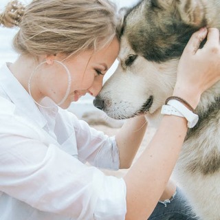 ほっこり癒される♪「どうぶつたちの世界」で繰り広げられる日常の物語