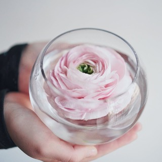 暮らしをより豊かにするヒント＊ヨガ哲学「ヤマ・ニヤマ」を知ろう