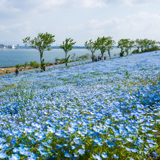 散歩や息抜きに。ふらっと訪れたい大阪の癒しスポット