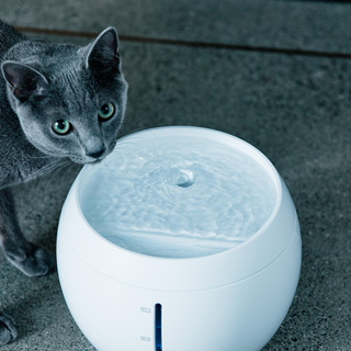 どんなときでも心地よく。家族の幸せをサポートする“おしゃれ家電”