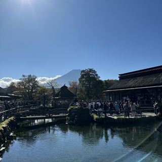 透き通る水が神秘的！「忍野八海」周辺のおすすめ観光＆ランチスポット
