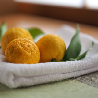 冬至にかぼちゃ・ゆず湯の習慣はなぜ？意味を知って理解を深めよう